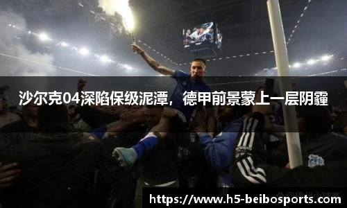 贝博bb体育