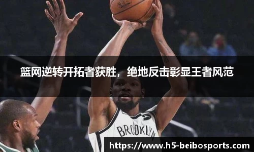 贝博体育网站