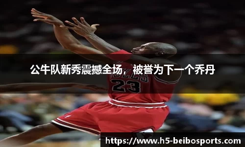 贝博体育网站
