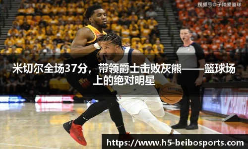 贝博bb体育