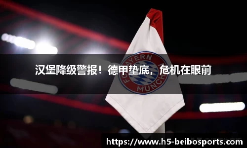 贝博体育网站