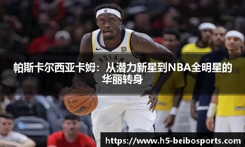 贝博bb体育