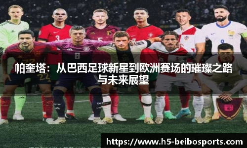 贝博bb体育