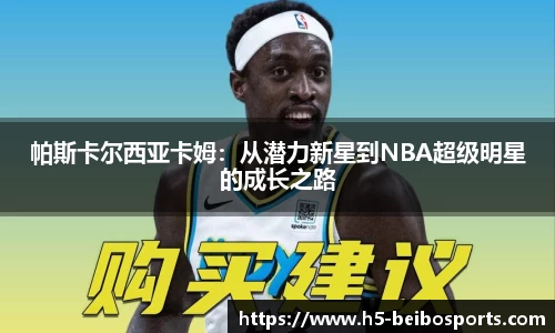 贝博体育官网