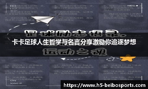 贝博体育网站