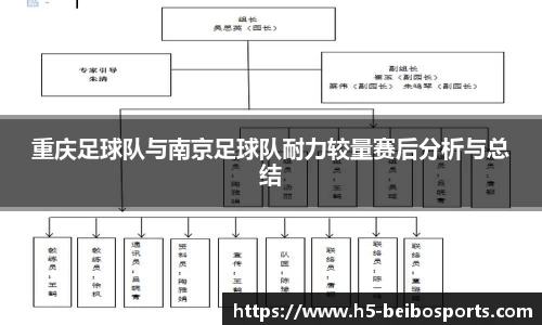 重庆足球队与南京足球队耐力较量赛后分析与总结
